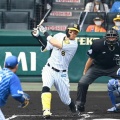 【阪神巨人は常に優勝争い！】阪神が独走中！巨人は補強で逆転狙えるんか？