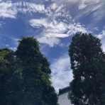 すっとこどすこい株投資