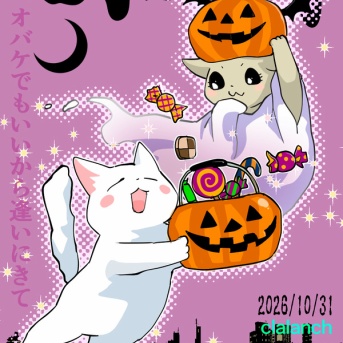 Halloween🐈
