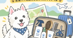 【九州の旅の準備】　これだけは持っていく。ゆきちの旅用ケアセット