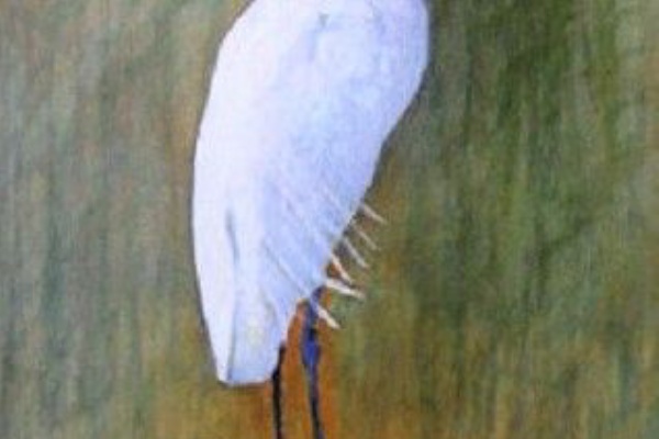 IKUOの水彩画集 - 鳥