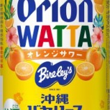 『【沖縄バヤリース×オリオンビール】「WATTA 沖縄バヤリースオレンジサワー」数量限定』の画像