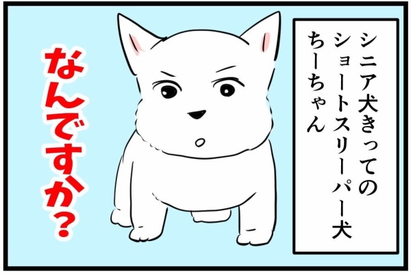 ちーちゃんっ🐾 - ちーちゃんですけどもっ