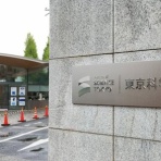 ハムスター速報