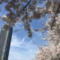 あっという間に4月