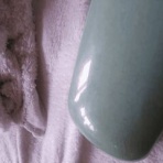 オカメさんと写真の日々