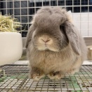 かわいさ満点☆