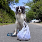 ひろいびと 清掃登山犬達と三重県の山ゴミ拾い清掃活動記録