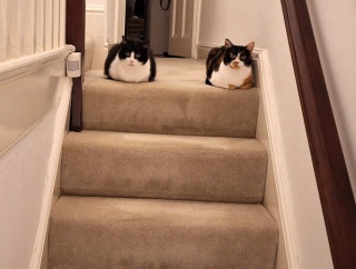 強風と通せんぼ。