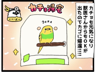 【さっぱり】鳥カゴをピカピカにしましたょ✨