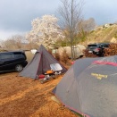 キャンプinCHICHIBU　FARMSTAY 前編