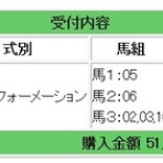 爆発力のある馬券予想：競馬
