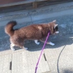 churahamaのブログ