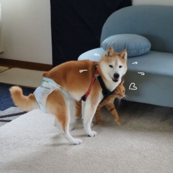 すりん♪すりん♪
