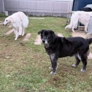 合ったり、合わなかったり。