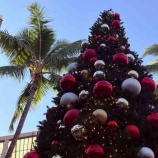 『★ハワイはホリデーシーズン突入です〜』の画像