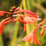 『第47回マイクロバブル研究会を終えて』の画像