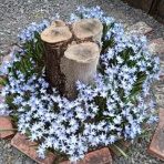 新・読後充実度 84ppm のお話