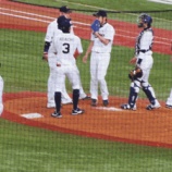 『今シーズン、ワイルドカードがあったら|2014NPB』の画像