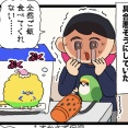 カチョちゃん、ちょっぴり元気なし
