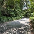 不思議な道に遭遇