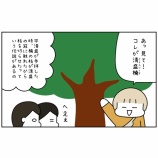 『思い立って伊勢参り⑲』の画像