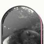 DVD、それがいつかお宝になる