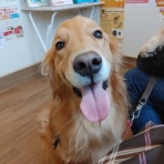 ラピスと・・・