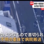 ラビット速報