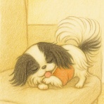 ふわふわぷぅ考