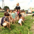 苗とり　田植え