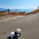 ほったらかしキャンプ場　～ぜんぜん、ほったらかしじゃないんだけれどね～