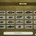 ぼくと釣り日記　密林川の魚一覧