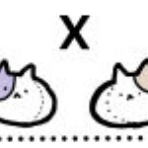 抱っこだ立つんだ揺れるんだ