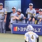 一緒に阪神タイガースを応援しよう！