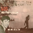 レコこれ日記／太陽は傷だらけ