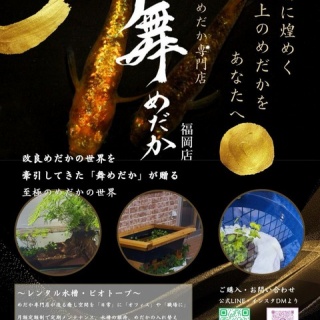 SONOアクアプランツファーム水草･海藻情報局