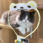 ペットショップワンラブ フレスポ御所野店のスタッフブログ