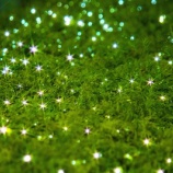 『マスクが値下がり』の画像