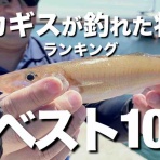 blue tetristの釣りノート