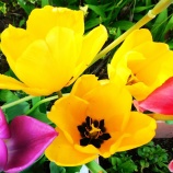 『老いの覚悟と生き方Ⅱ（5650回記念）（51）「80歳の壁・実践編（20）」』の画像