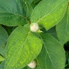 Ȣ�� ��ޥ��������ȥ��ޥ������� 2026
