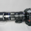 「  OLYMPUS  ED 300mm F4 IS PRO   ＋   Teleconverter MC-14 　＋　OM-D  E-M1X 」　を使用して自宅近くの公園で、スズメ、ハト、カラス　を撮影