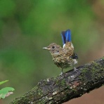 やっちゃんの写真ライフ