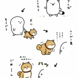 『犬、ごめん…』の画像