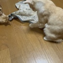 携帯操作不能💦＆週末ご飯