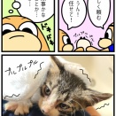 たつろーを拾った日⑤
