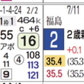 リアルデータ競馬新聞