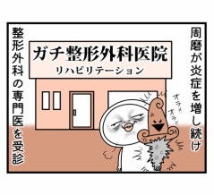 四十肩の戦い・其の九　～整形外科合戦～