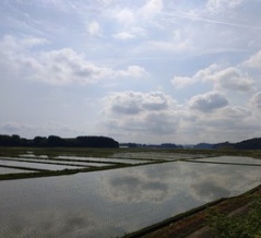 青空や雲が映り込んだ水田地帯の写真〜まるで巨大な鏡の水面!!